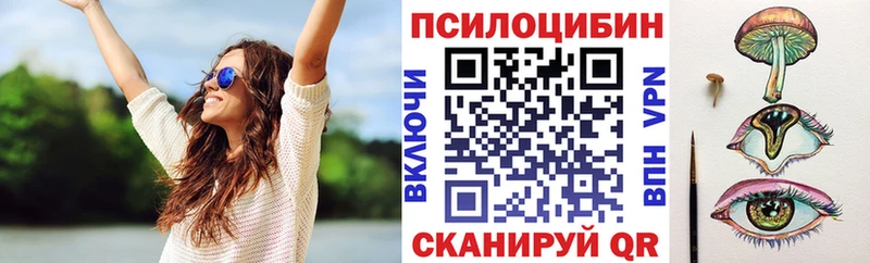 Псилоцибиновые грибы Psilocybe  OMG рабочий сайт  Горнозаводск 