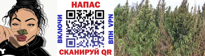 наркотики Горнозаводск Марихуана THC 21%